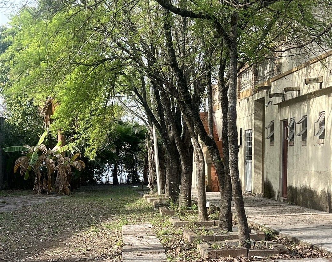 6 de 22