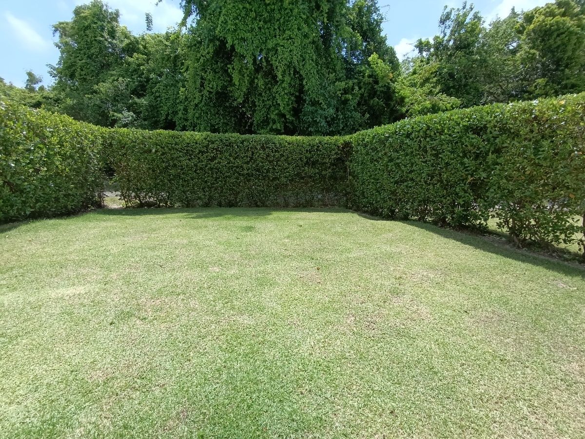 3 de 37