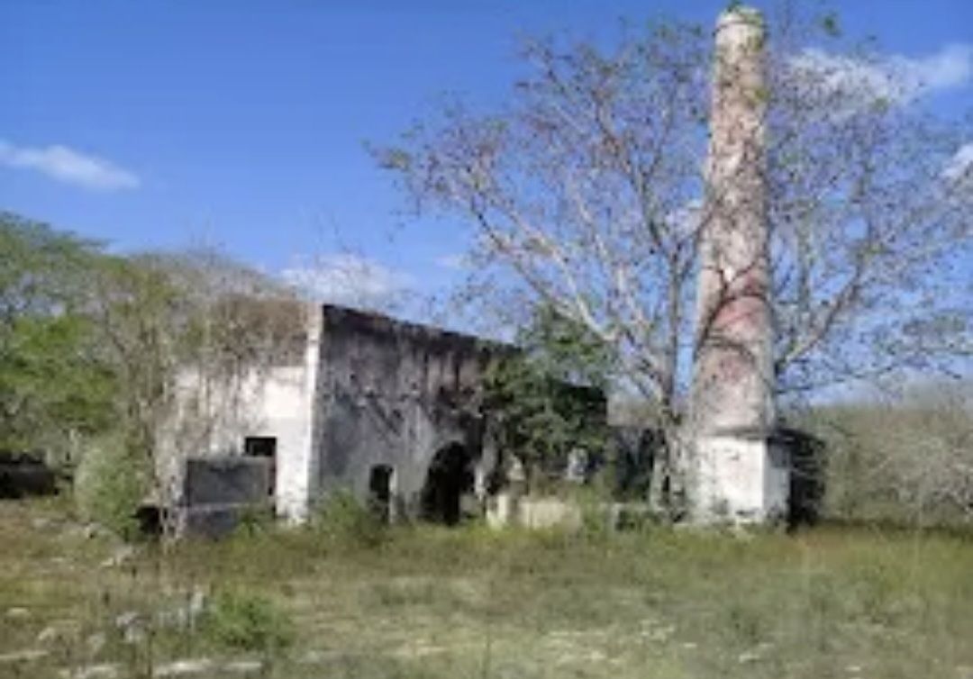 Imagen 1 de 4