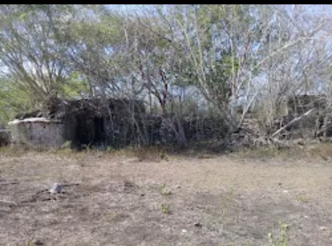 Imagen 2 de 4