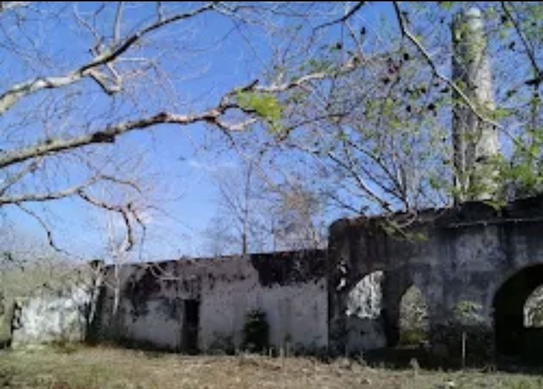 Imagen 3 de 4