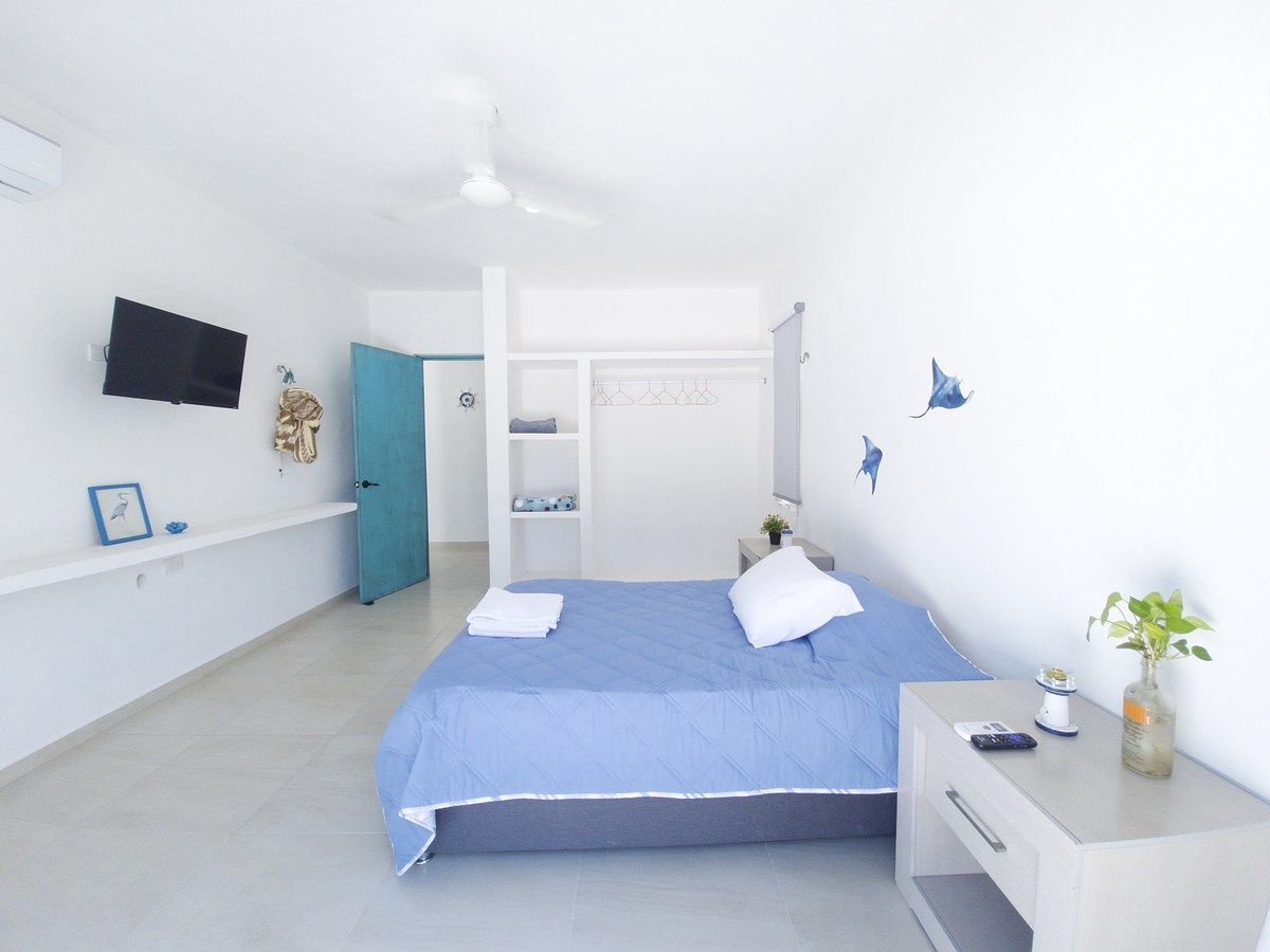 21 de 29: HAB JR CON BALCÓN