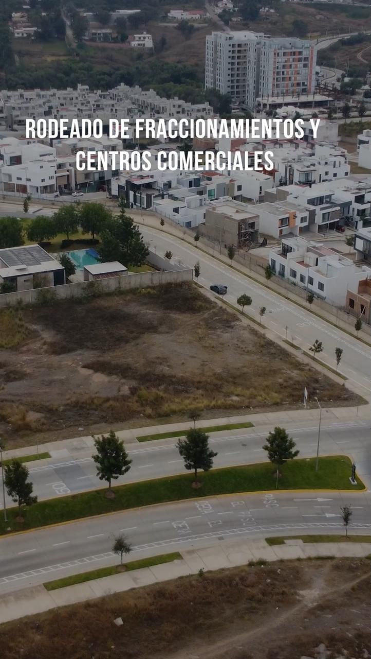 17 de 19