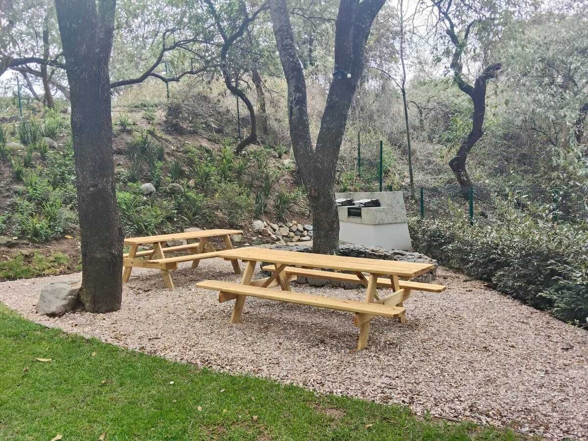 19 of 31