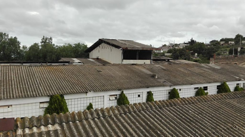 5 de 17