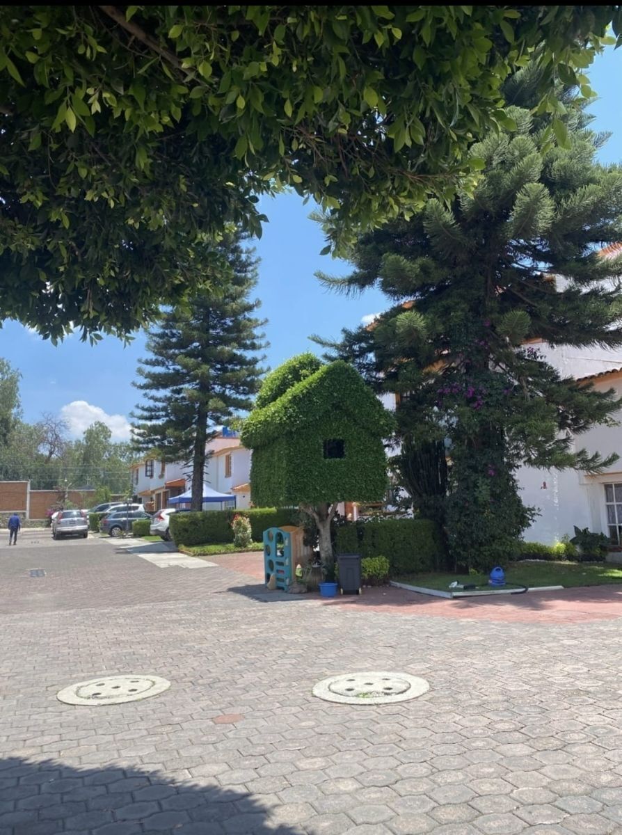 2 de 37