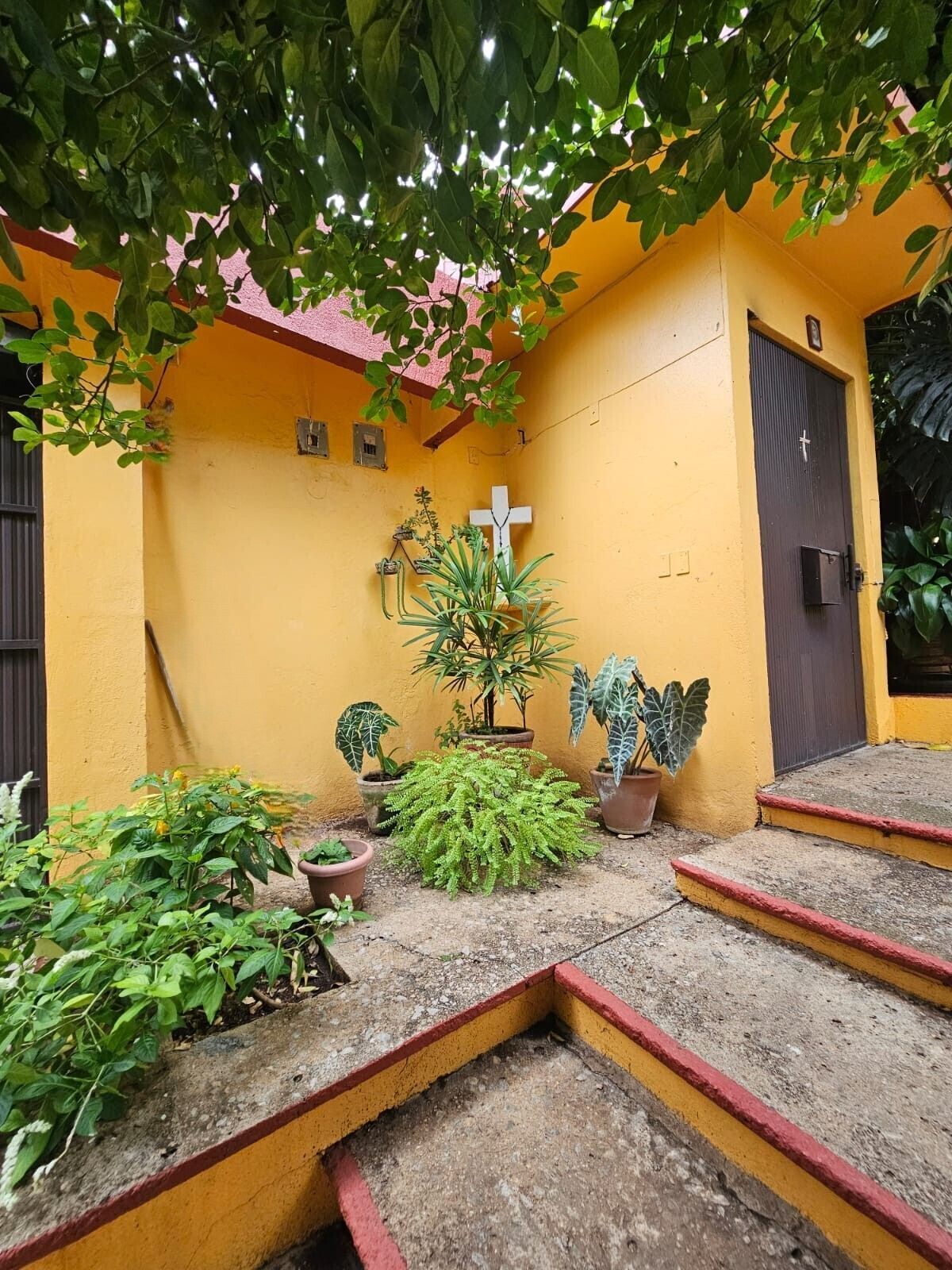 2 de 35