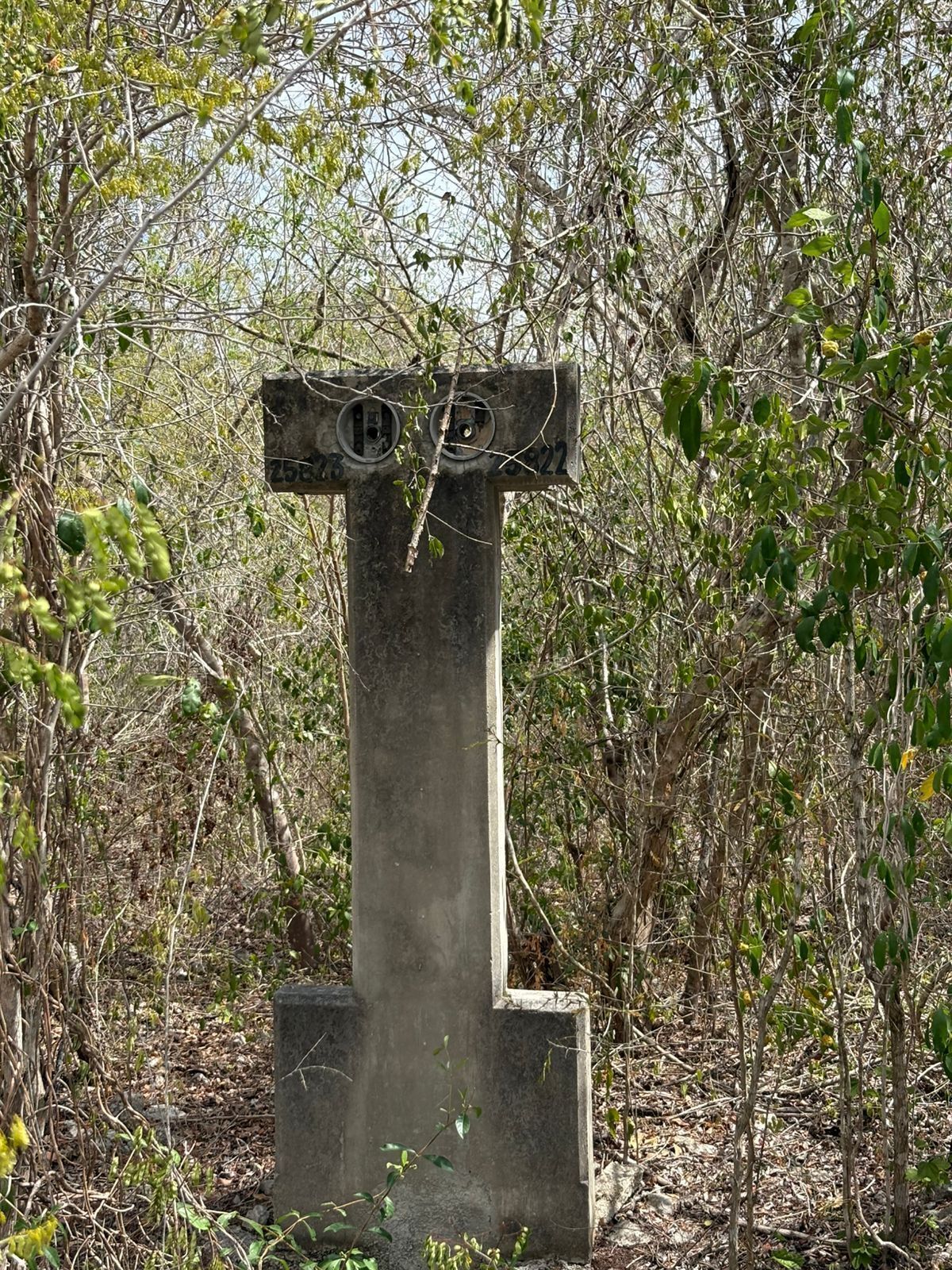 3 de 5