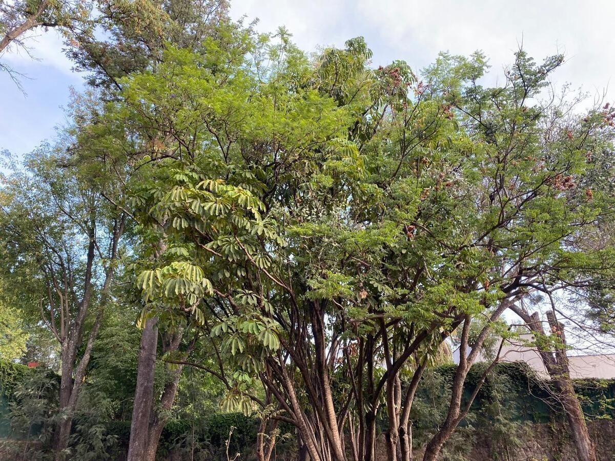 5 de 7