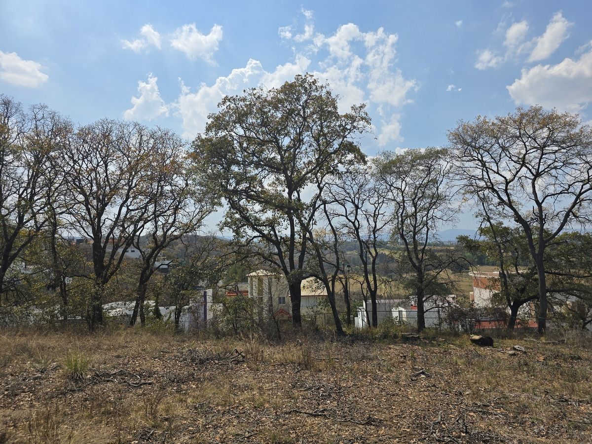 2 de 7: Terreno parte trasera