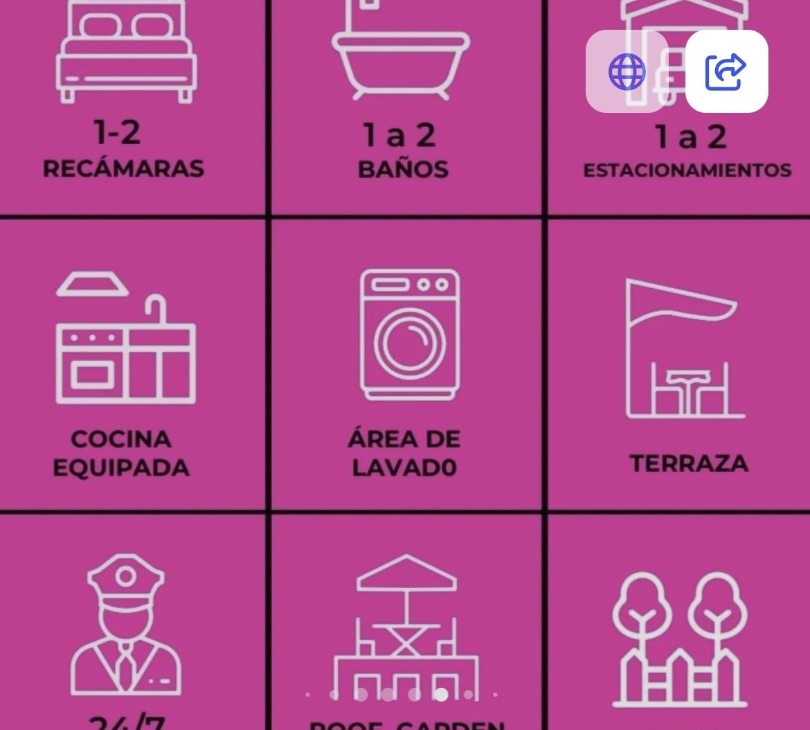 6 de 11