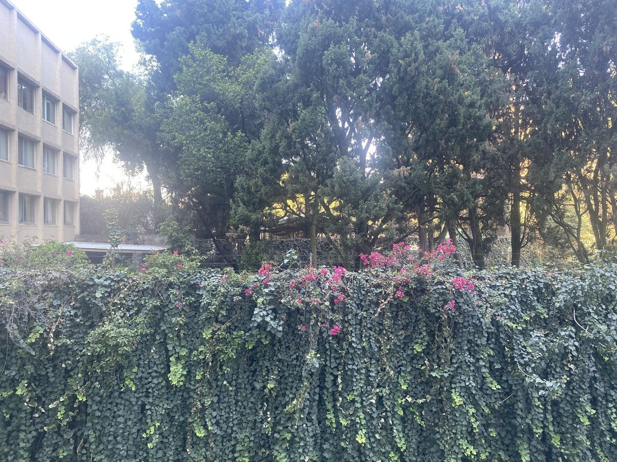 2 de 19
