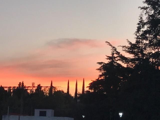 1 de 13: vista desde el patio de la casa