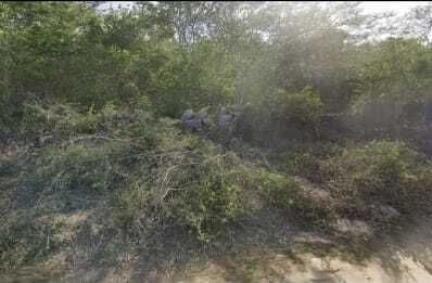 Land for sale Xcunya, Mérida Yucatán - foto 2