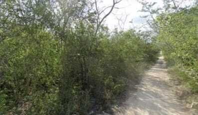 Land for sale Xcunya, Mérida Yucatán - foto 3