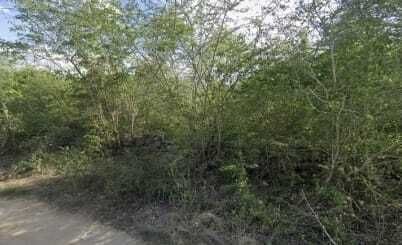 Land for sale Xcunya, Mérida Yucatán - foto 4
