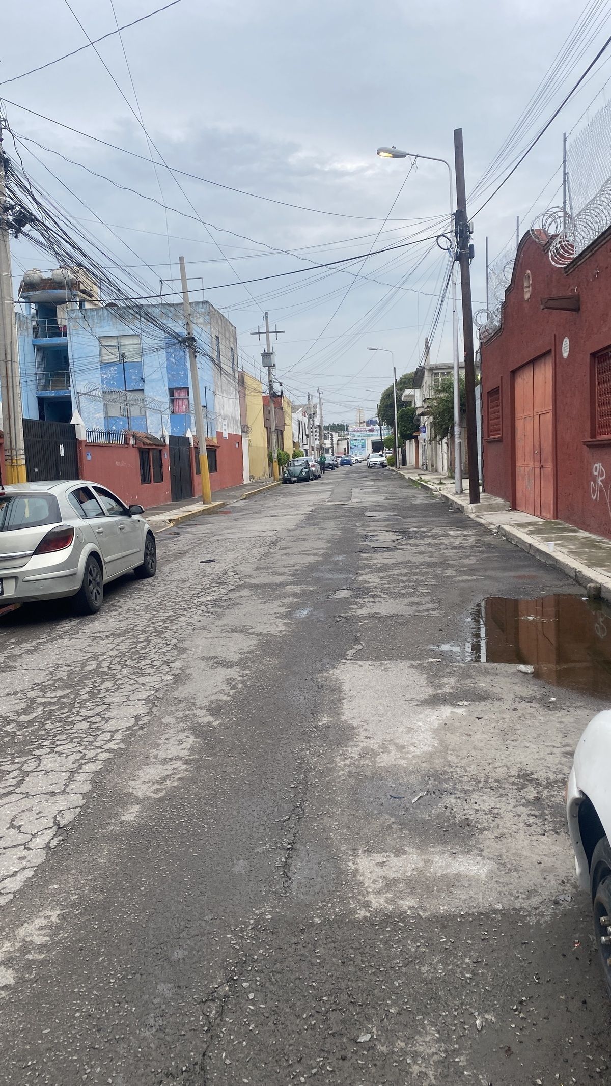 11 de 11