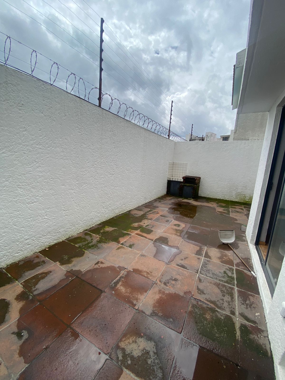 5 de 26