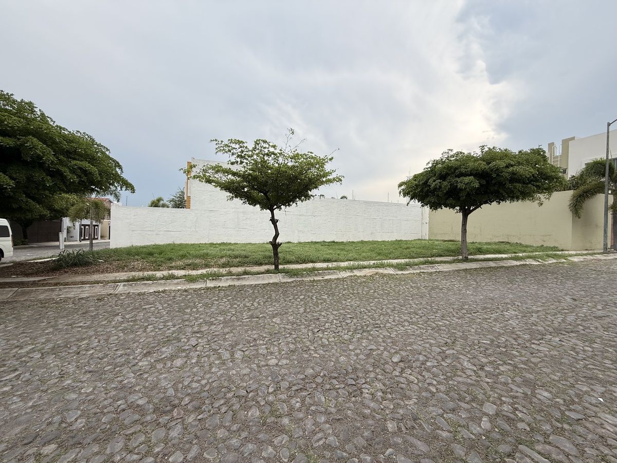 5 de 7