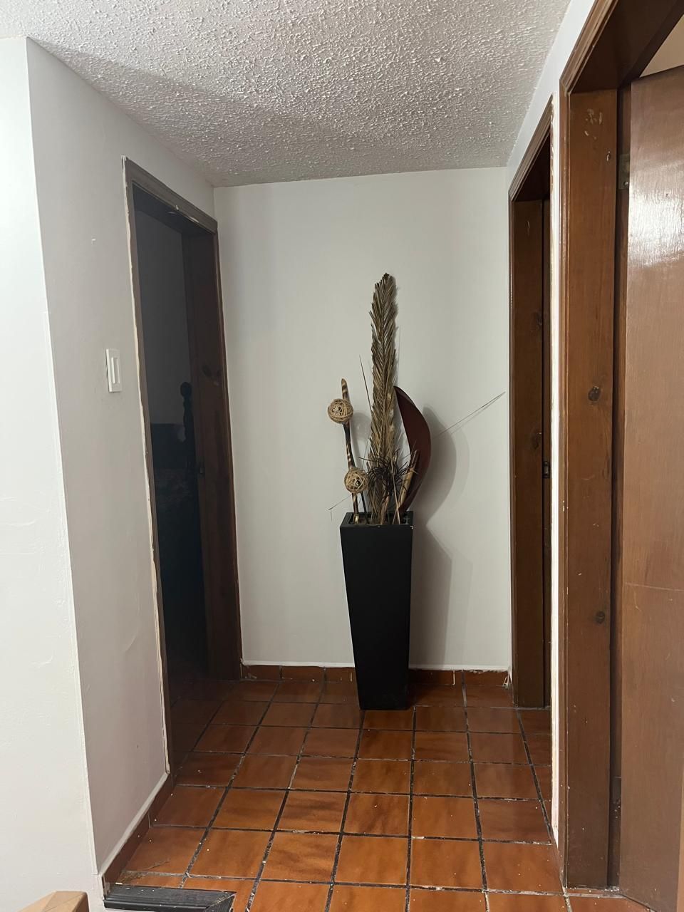 5 de 11