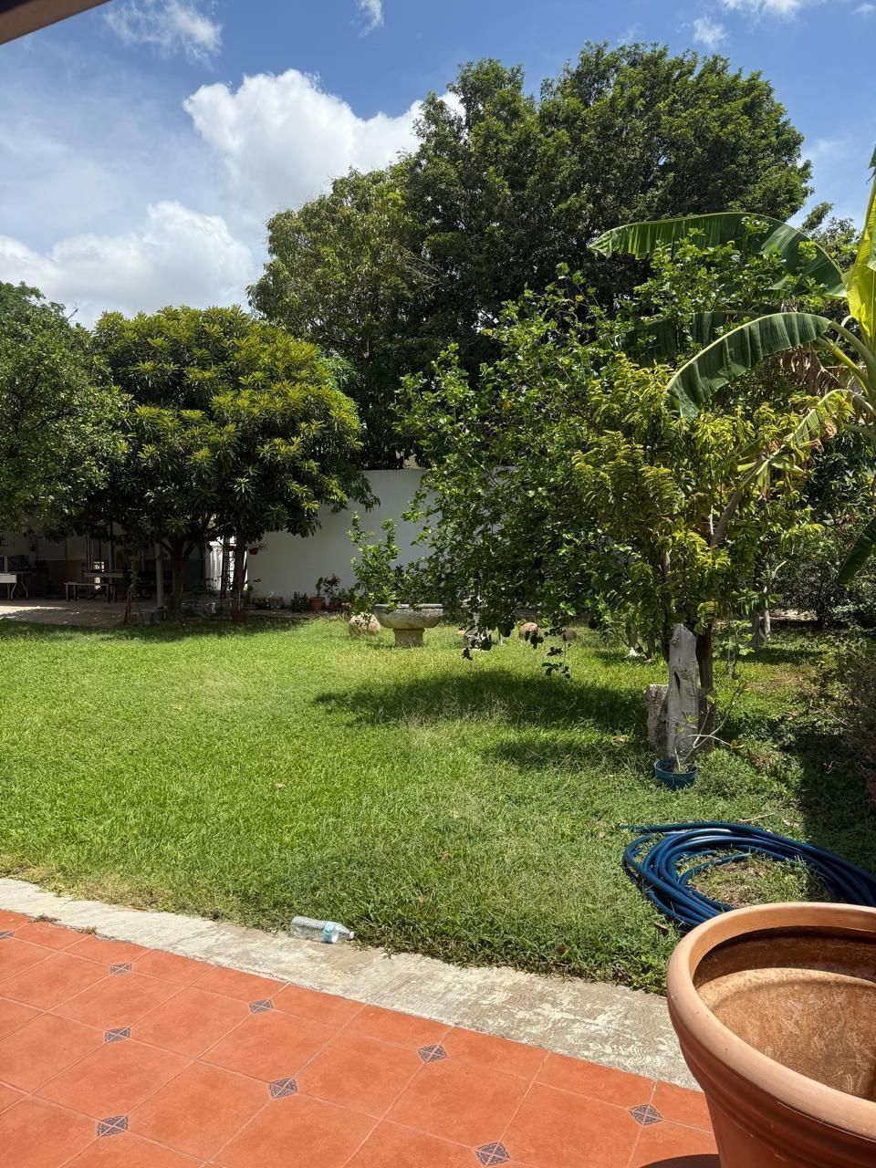 14 de 20