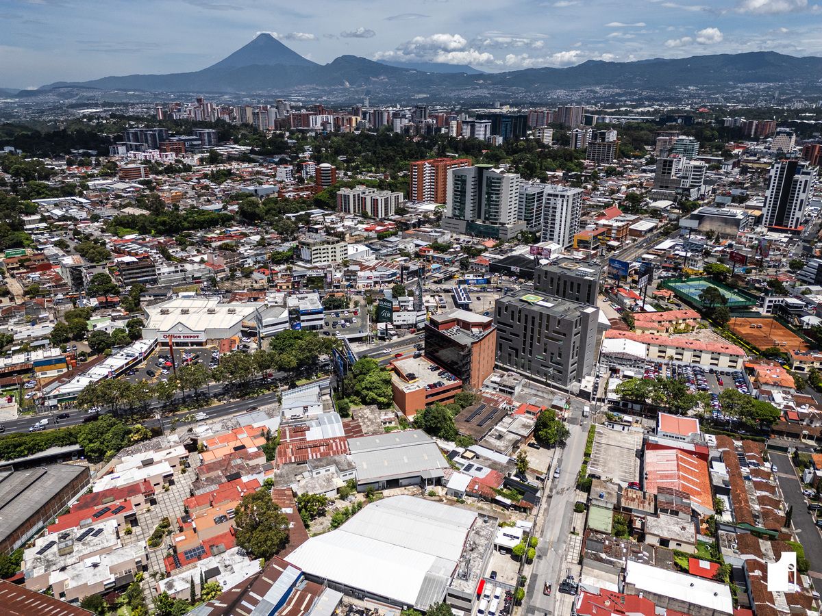 6 de 24