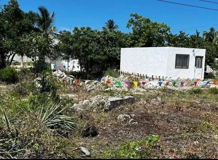 4 de 10
