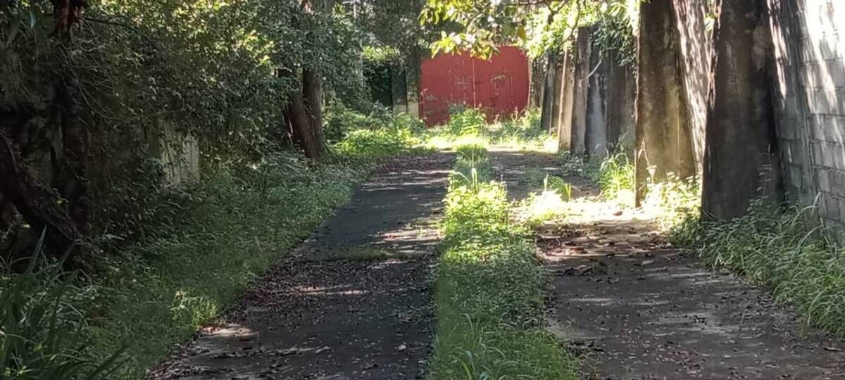 2 de 2
