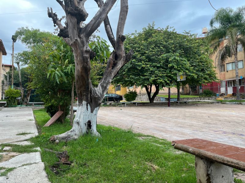 5 de 19