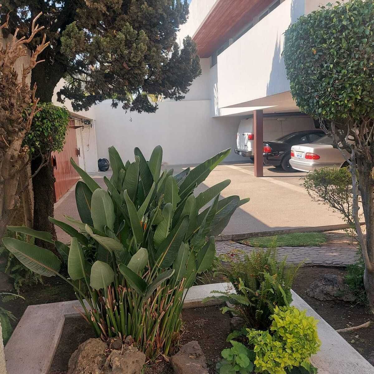 3 de 17