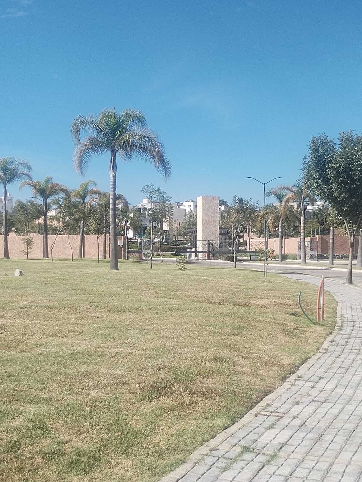 3 de 4