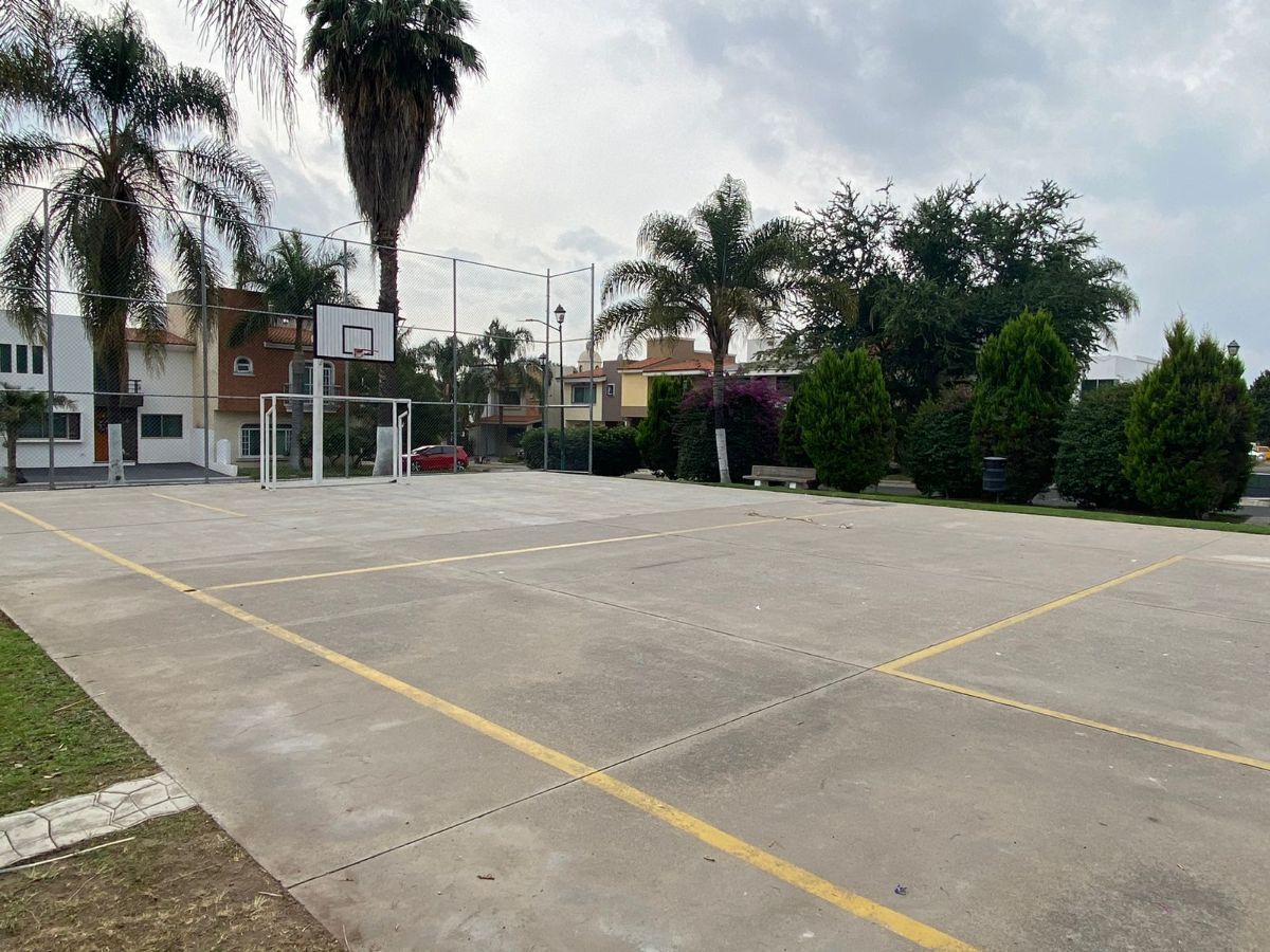 4 de 6
