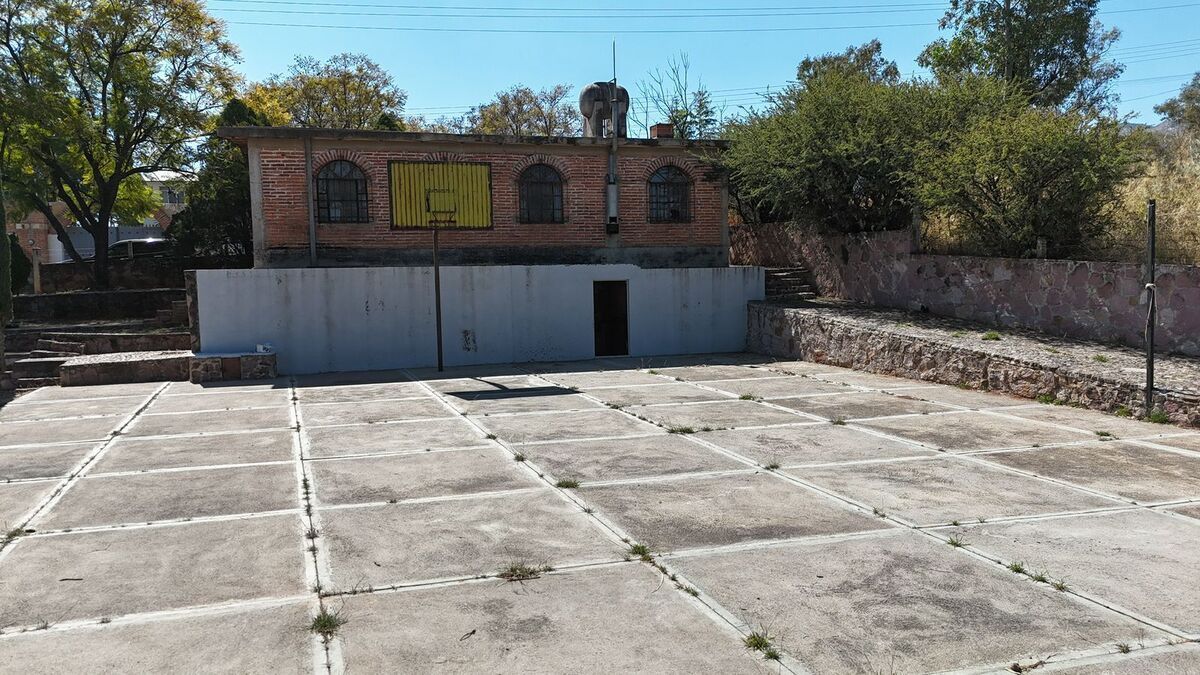 7 de 19