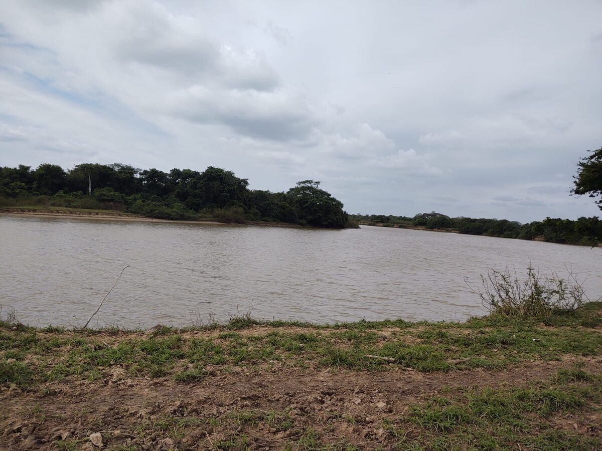 3 de 21