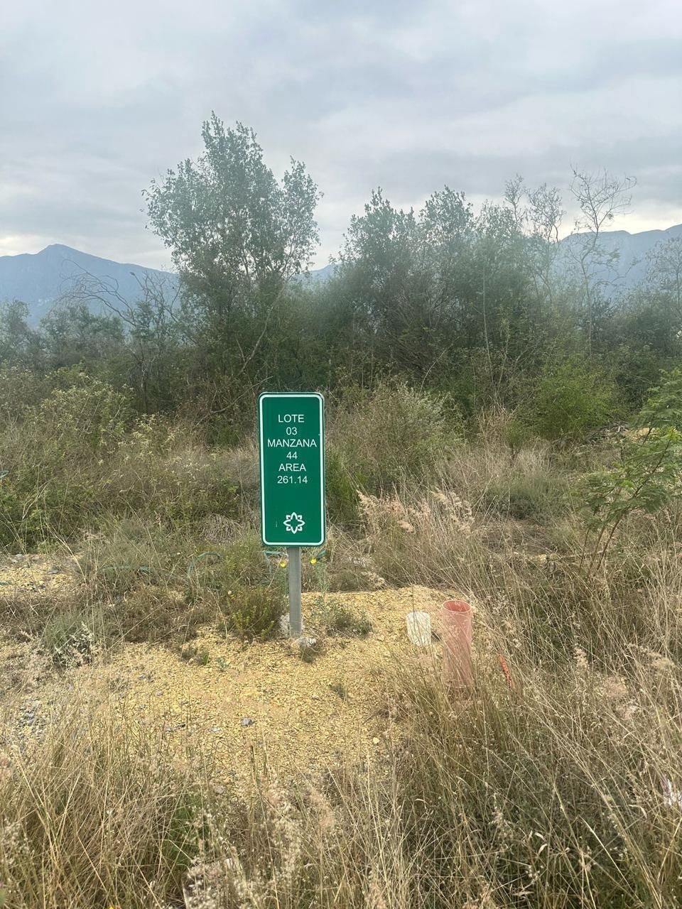 4 de 4