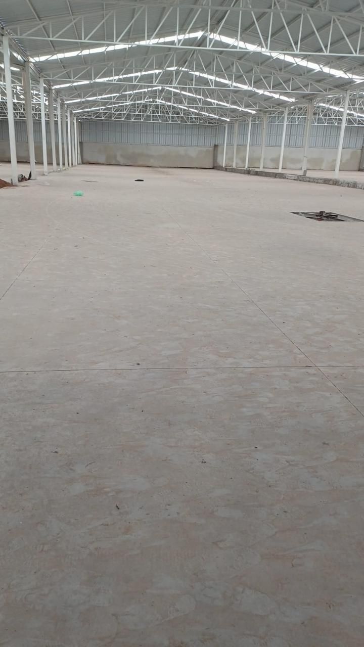 5 de 7