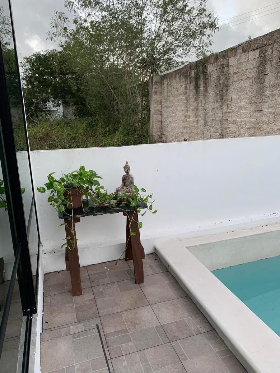 11 de 11