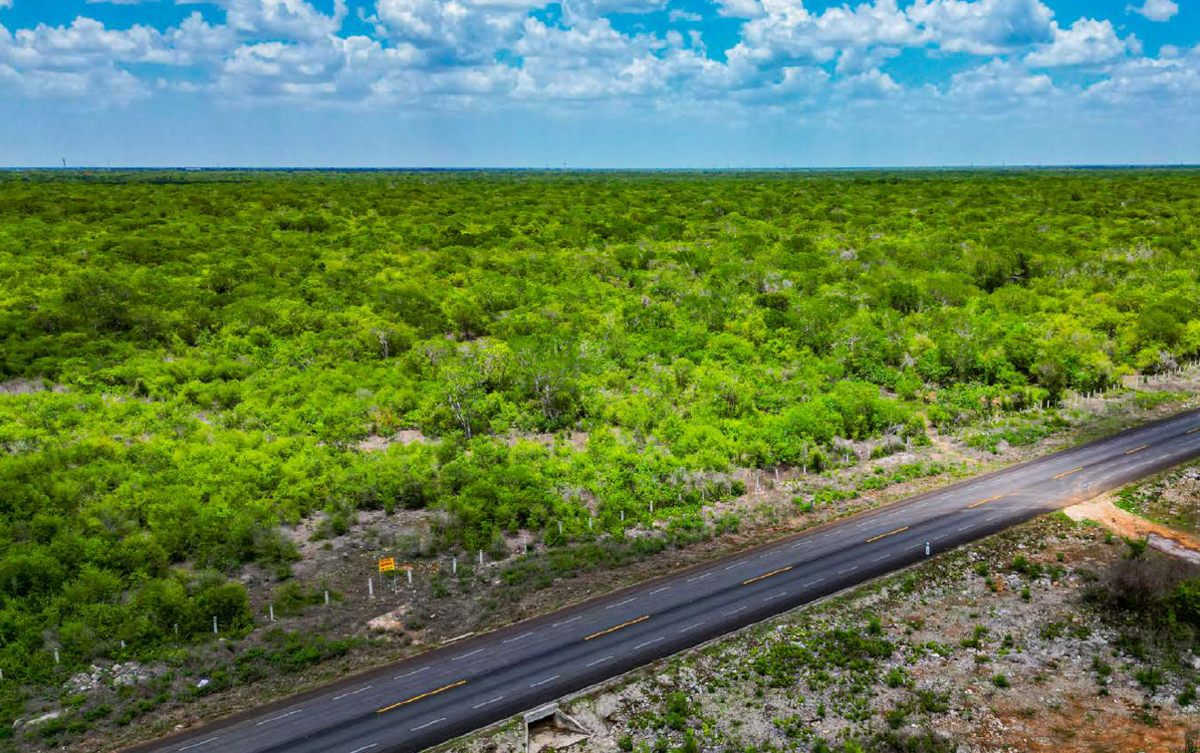 15 de 16: FRENTE DE CARRETERA TERRENO
