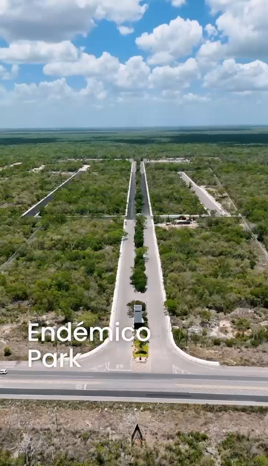 10 de 16: PARQUE INDUSTRIAL ENDEMICO