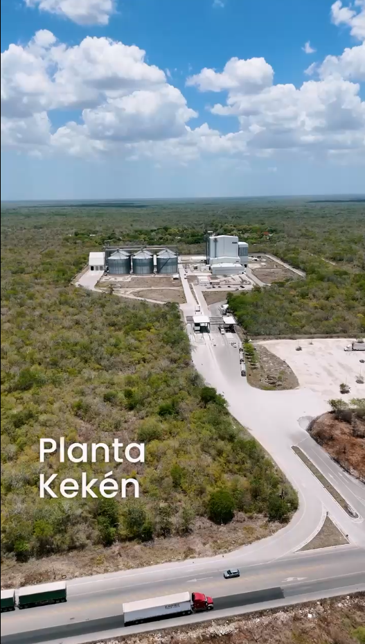 9 de 16: PLANTA KEKEN