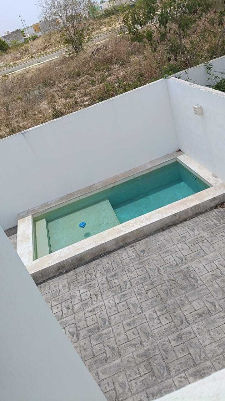 5 de 6