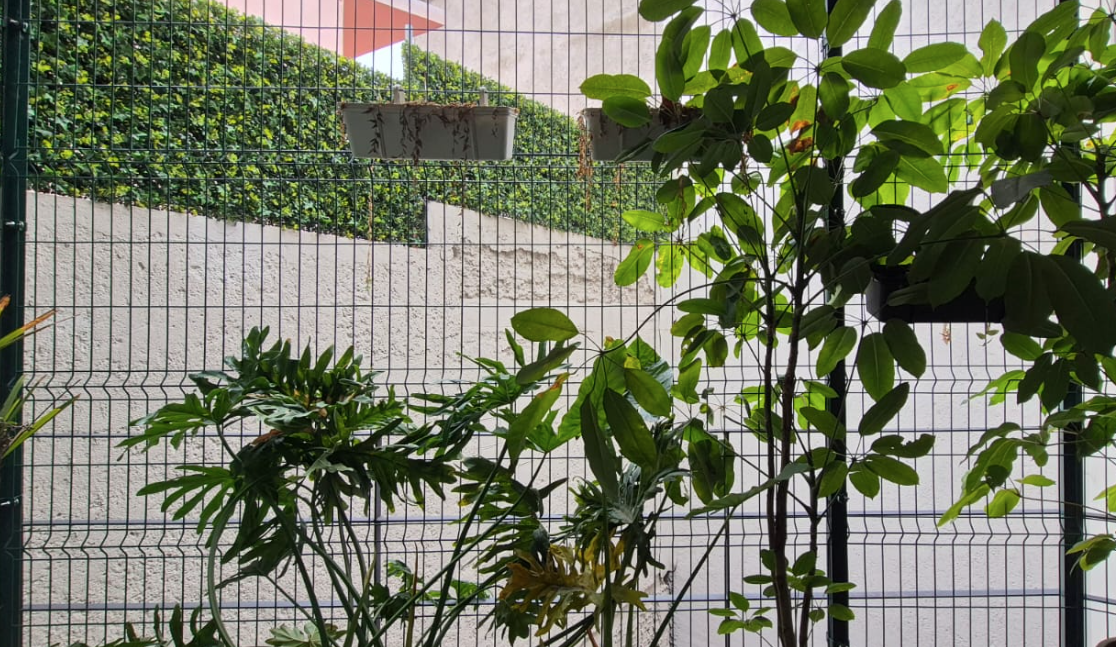 5 of 11: balcon interior