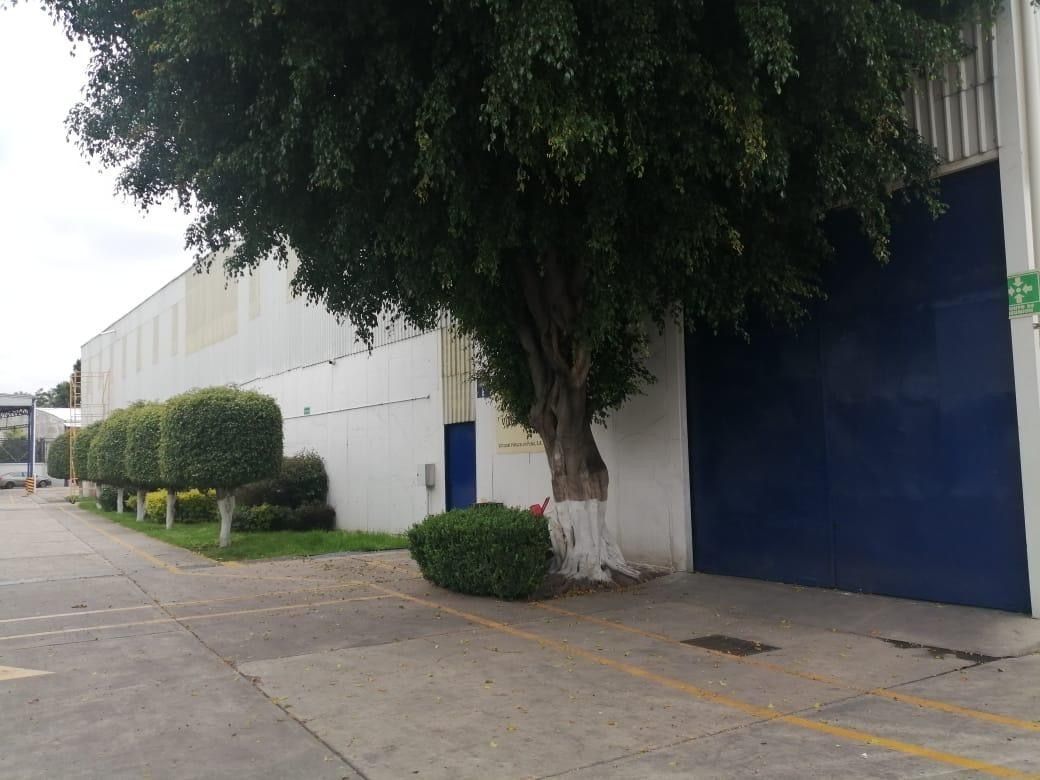 4 de 4