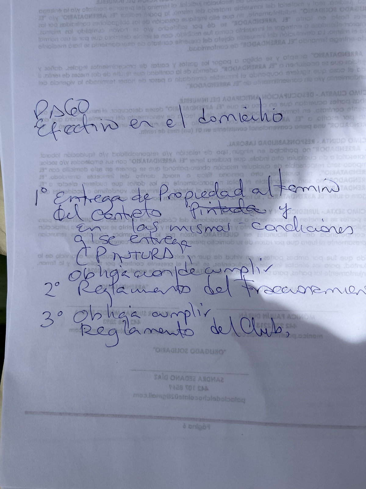 7 de 19