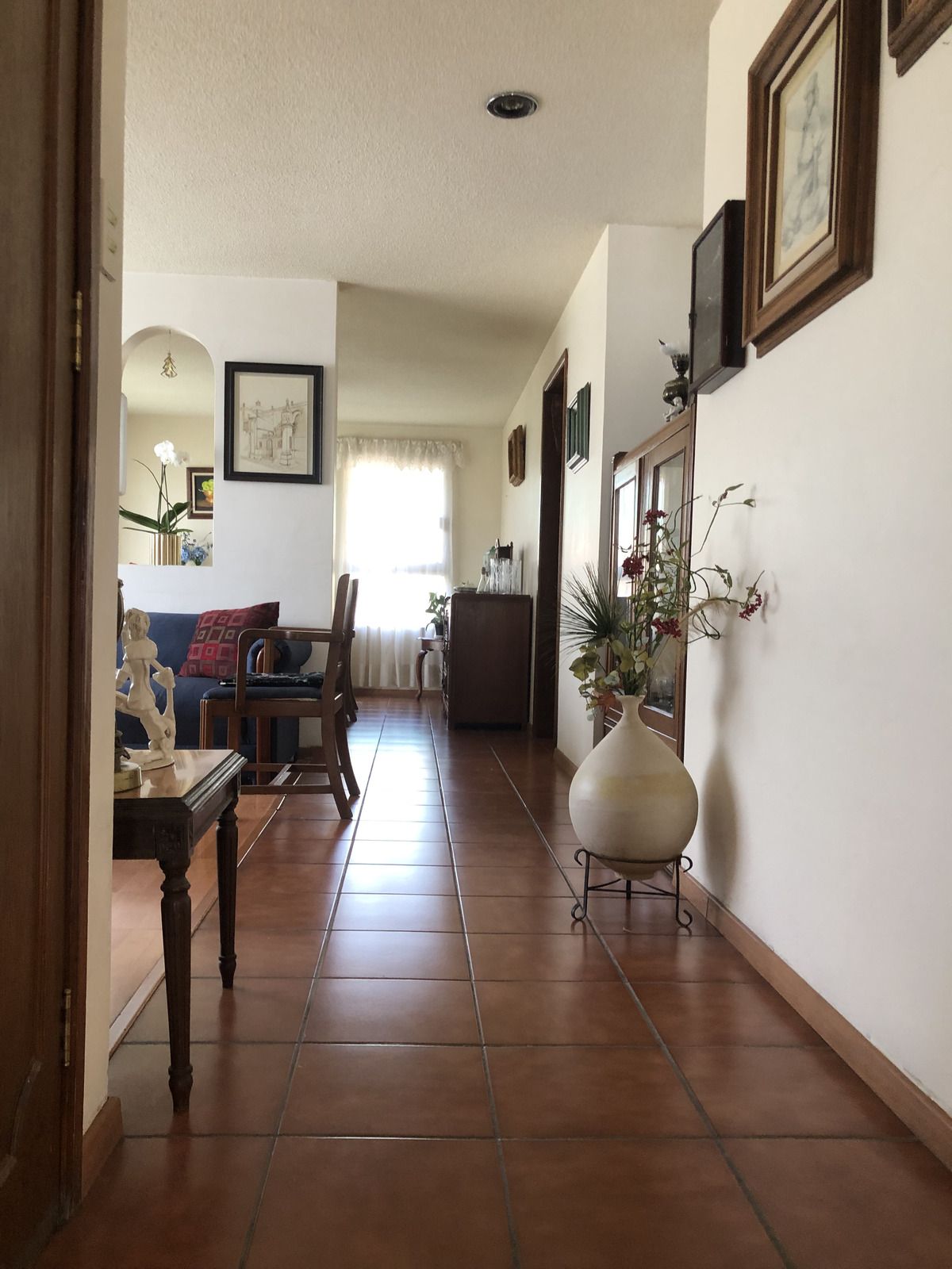 6 de 29