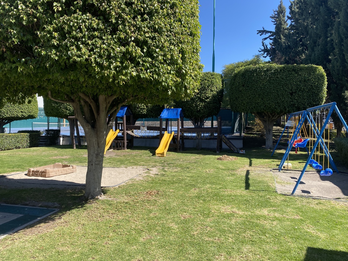 20 de 24