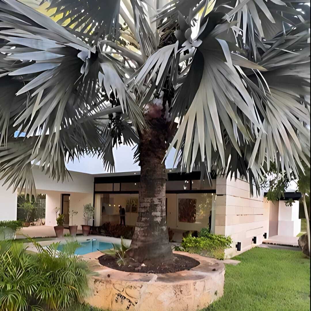 1 de 12