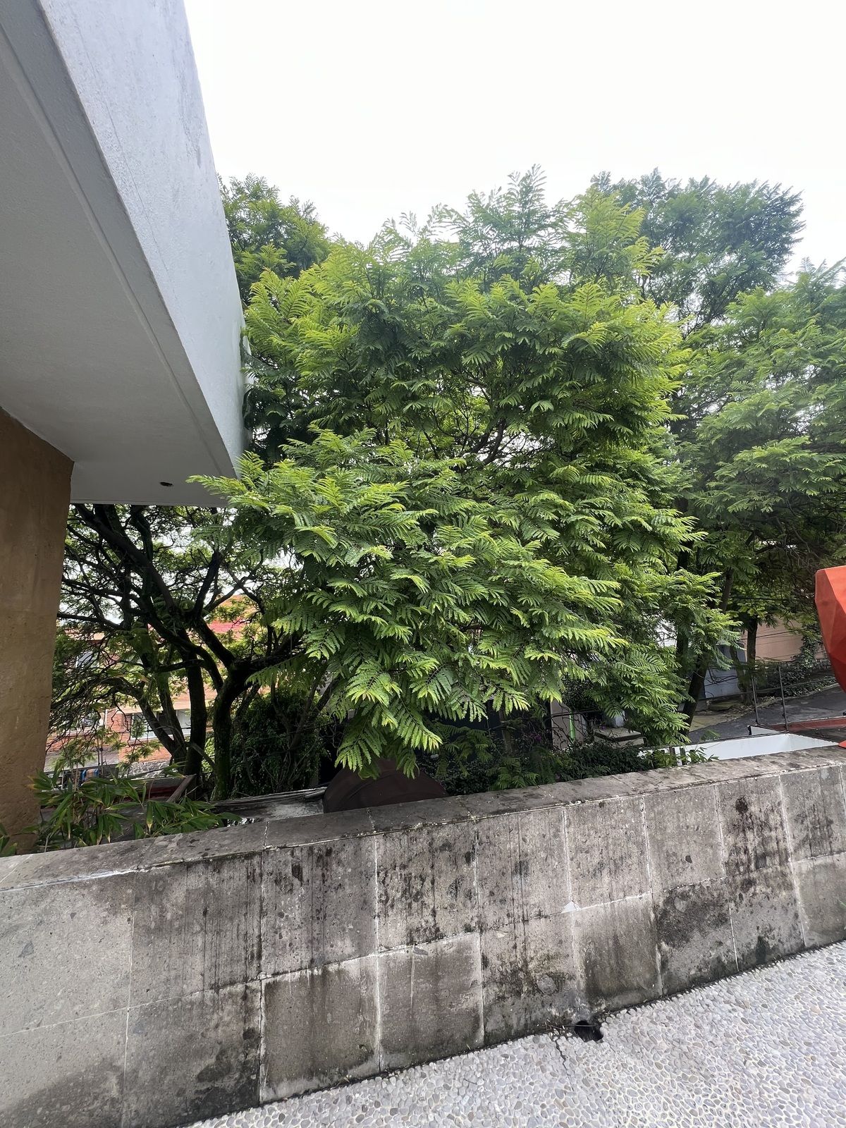 4 de 34