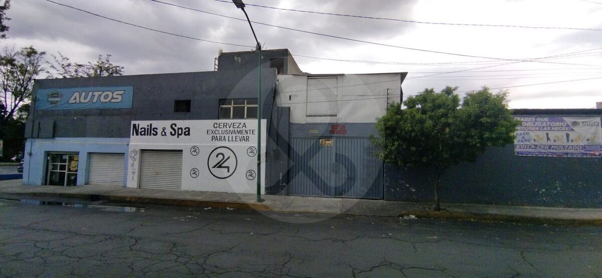 11 de 13