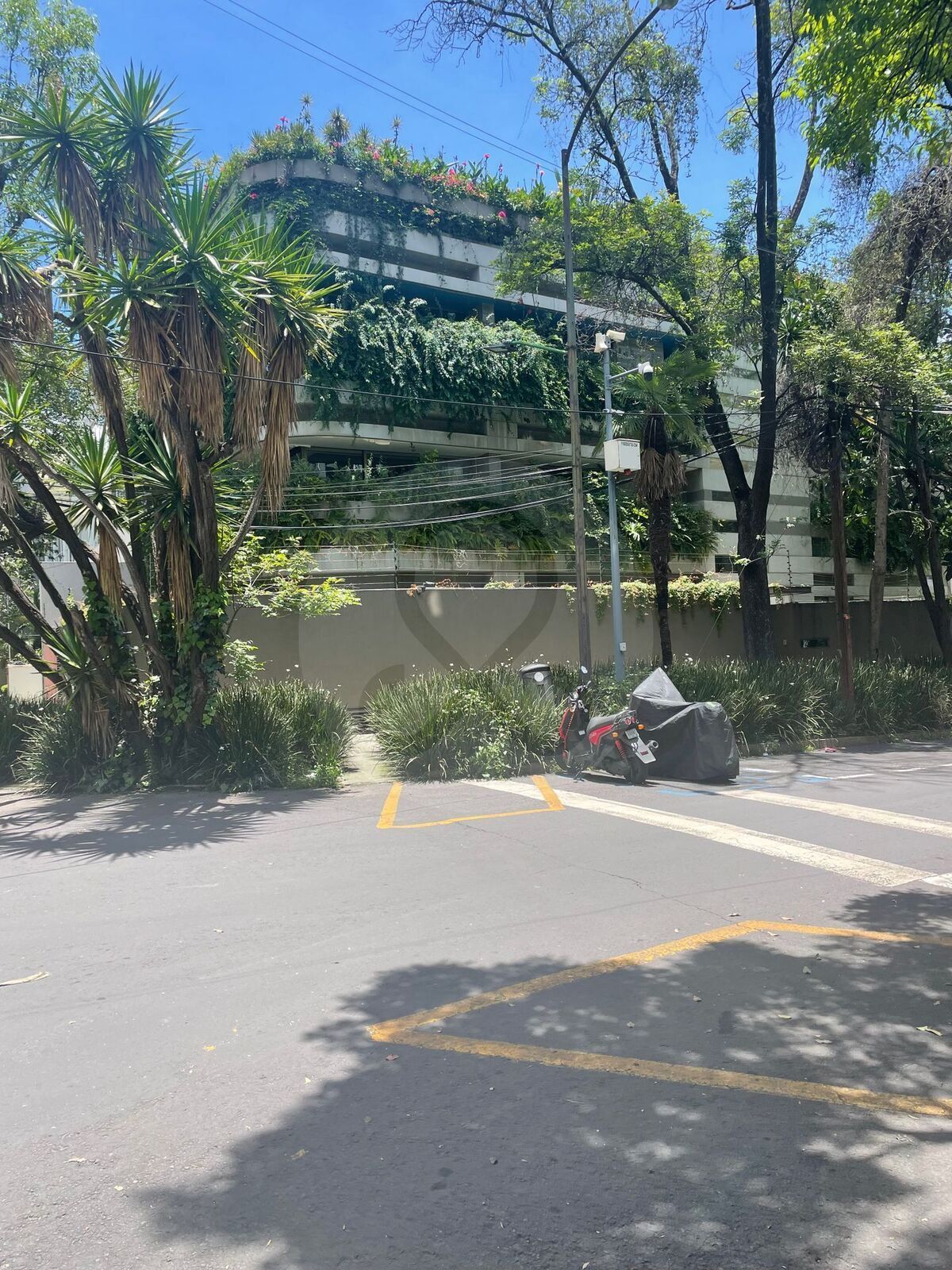 25 de 25